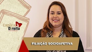 Explica Direito Filiação Socioafetiva  2019 [upl. by Boak457]