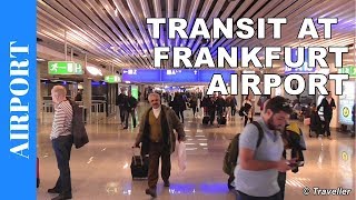 TRANSIT WALK AT FRANKFURT Airport FRA Terminal 1  Connection Flight Transfer Arriving amp Departing [upl. by Ronel402]